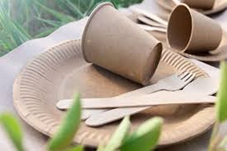 تصویر 1 از قیمت فنجان یکبار مصرف گیاهی + خرید باور نکردنی
